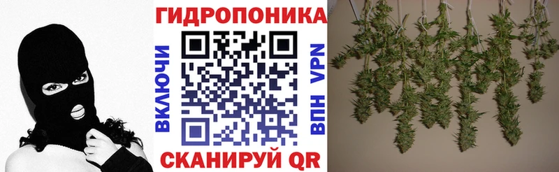 Конопля индика  где продают наркотики  Покровск 